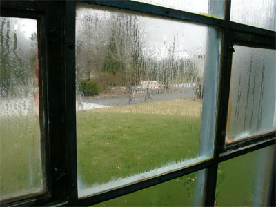 Condensation-on-Windows